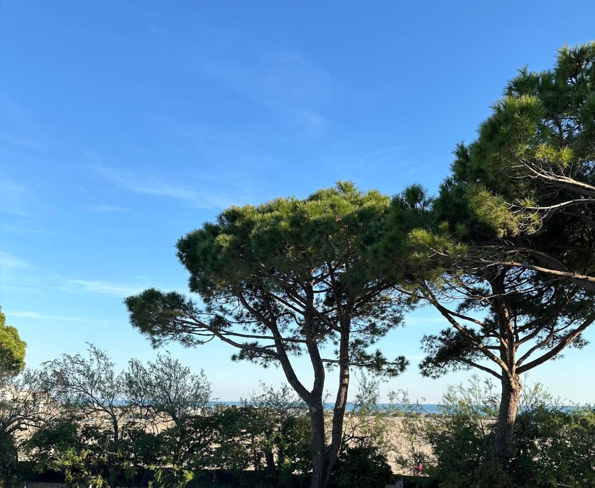 Porto San Vito Resort Grado Exteriér fotografie